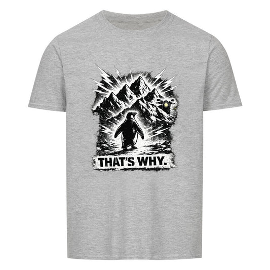 Image for color: sport grey