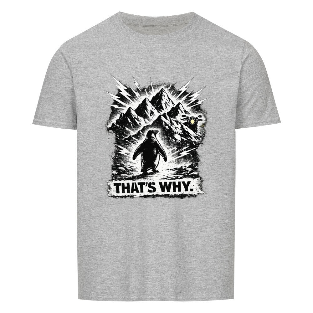 Image for color: sport grey